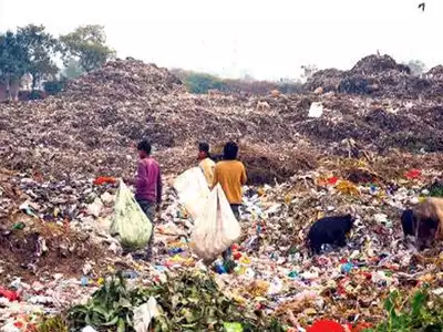 The Plastic Waste Obsession: A Smokescreen for a Bigger Crisis?